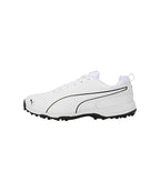 Puma Pitch Pro Cricket Shoes