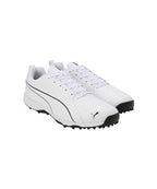 Puma Pitch Pro Cricket Shoes