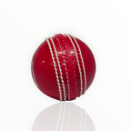 SG Prosoft Cricket Ball