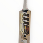EM GT XR-10000 Smart Willow Cricket Bat