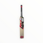 EM GT XR-9000 Kashmir Willow Cricket Bat