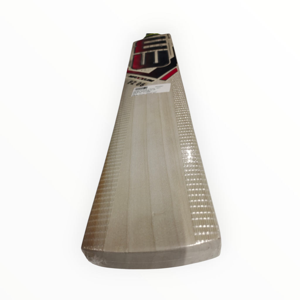 EM GT XR-9000 Kashmir Willow Cricket Bat