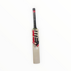 EM GT XR-9000 Kashmir Willow Cricket Bat