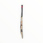 EM GT XR-9000 Kashmir Willow Cricket Bat
