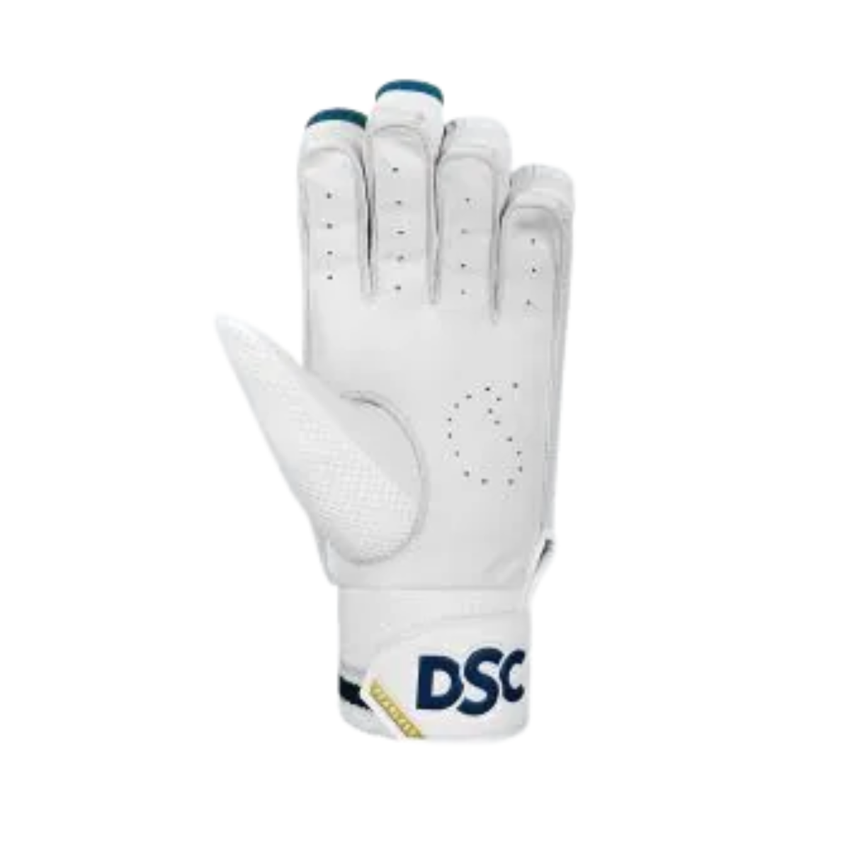DSC Velocity 2024 Cricket Batting Gloves