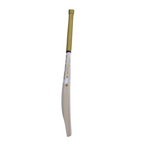 DSC Eureka Glint English Willow Cricket Bat