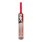 DSC Tennis Fire Kashmir Willow Cricket Bat