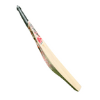 DSC Thumpa 3000 English Willow Cricket Bat
