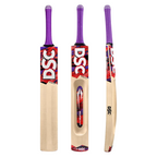 DSC Wildfire Falcon Kashmir Willow Cricket Bat