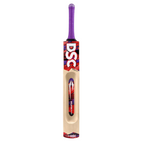 DSC Wildfire Falcon Kashmir Willow Cricket Bat