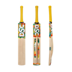 DSC Wildfire Heat Kashmir Willow Cricket Bat
