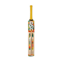 DSC Wildfire Heat Kashmir Willow Cricket Bat